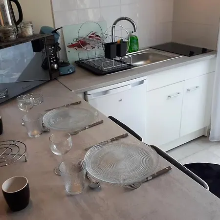 Maisonnette A 100 M De Tarbes Sud *